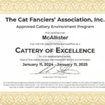 061d6b97-dc5a-48ec-a19e-44e351734847-1-768x589