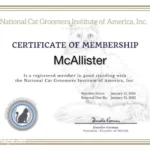 4ab80537-6a82-4188-b8bc-e4adb5aeb284-768x594