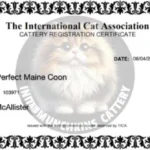 a04c46ff-b3d7-4be9-9c50-e838b3a97a42-768x334